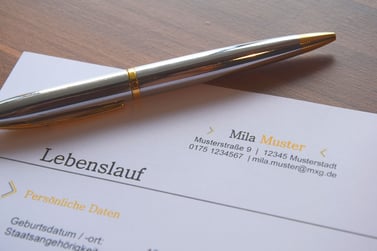 altmodischer Lebenslauf