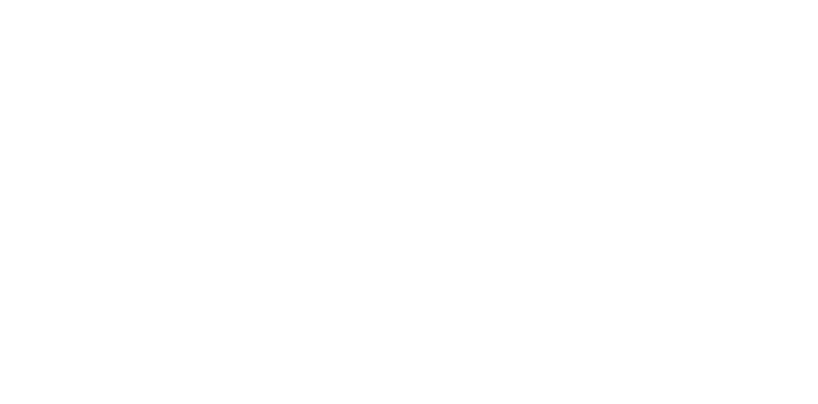 TRANS LOGISTIK